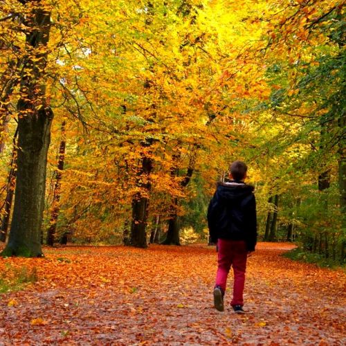 5 rituales de otoño para estar en sintonía con la temporada