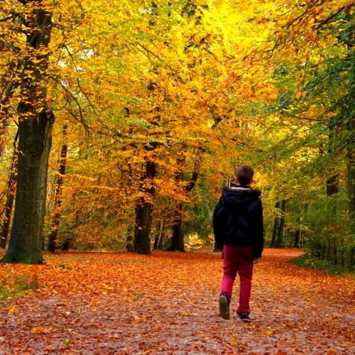 5 rituales de otoño para estar en sintonía con la temporada