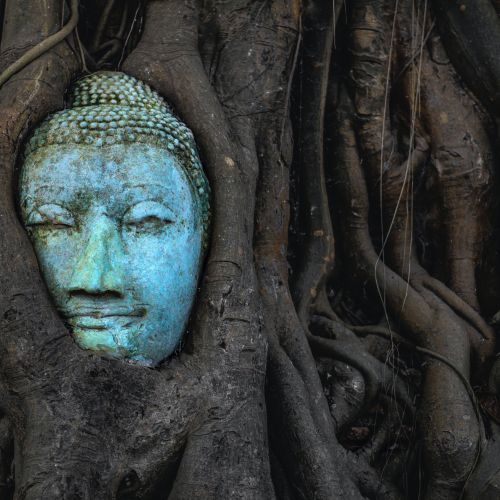 El Budismo: definición y principios